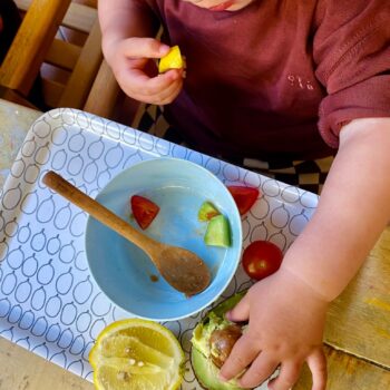 Alimentazione